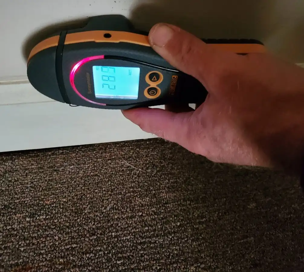 Moisture detection at baseboard during Sewage Cleanup & Sanitation in Verona